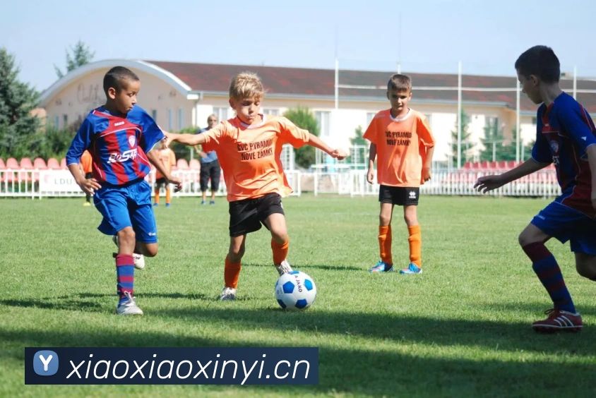 多媒体互动体验